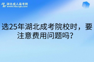 选25年湖北成考院校时，要注意费用问题吗？