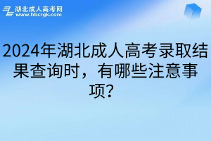 2024年湖北成人高考录取结果查询时，有哪些注意事项？