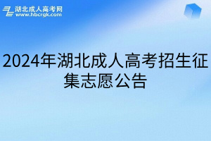 2024年湖北成人高考招生征集志愿公告