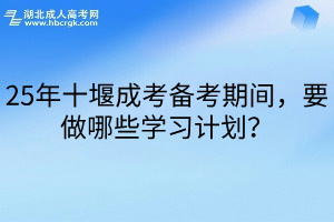 25年十堰成考备考期间，要做哪些学习计划？