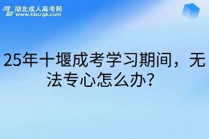 25年十堰成考学习期间，无法专心怎么办？