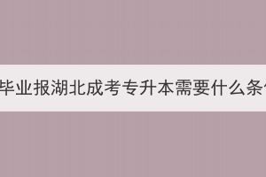 专科毕业报湖北成考专升本需要什么条件？