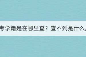 湖北成考学籍是在哪里查？查不到是什么原因？