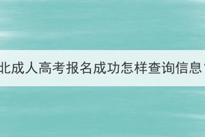 湖北成人高考报名成功怎样查询信息？