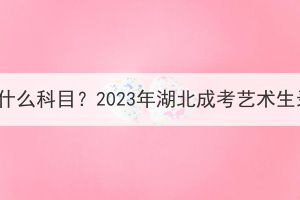 湖北成考艺术生要考什么科目？2023年湖北成考艺术生录取分数线是多少？