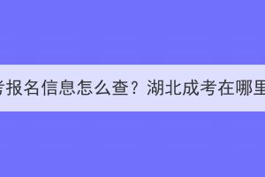 湖北成考报名信息怎么查？湖北成考在哪里报名？