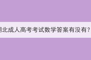 湖北成人高考考试数学答案有没有？