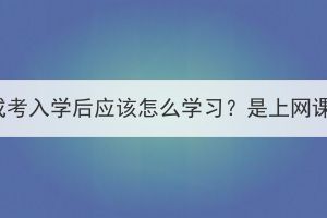 湖北成考入学后应该怎么学习？是上网课吗？