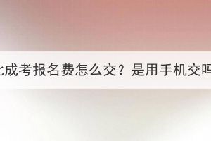 湖北成考报名费怎么交？是用手机交吗？